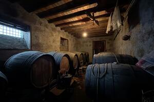 Maison de 10 chambres - Vilaflor — photo 9 of 10
