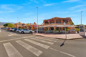 Business -  La Caleta — photo 2 of 13