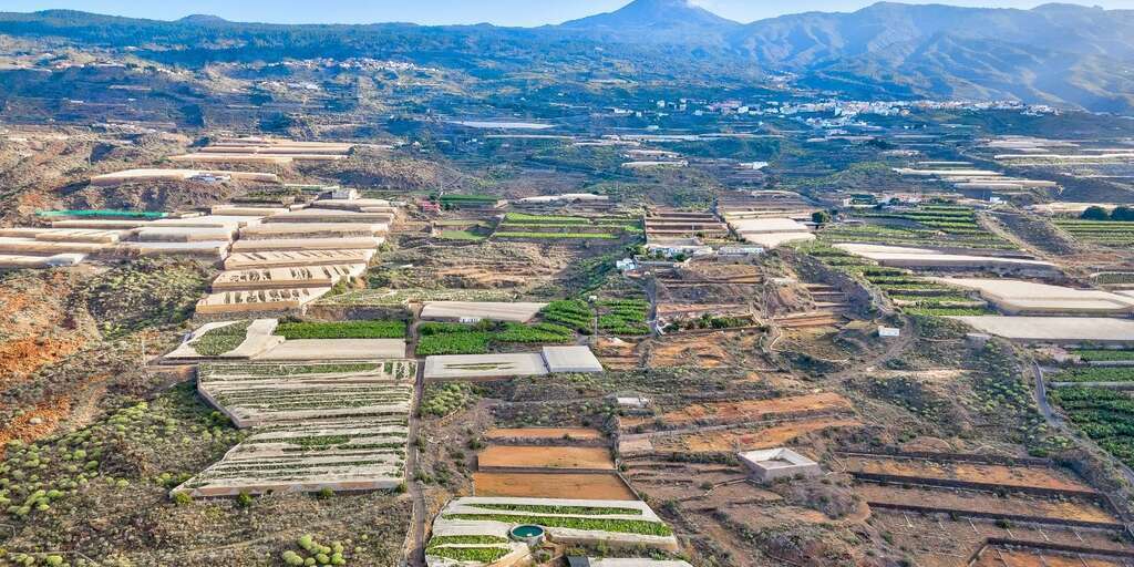 Finca - Guía de Isora