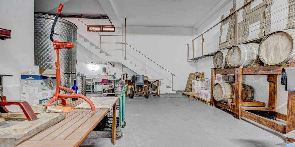 Estate - Vilaflor - Bodega Viñaflor