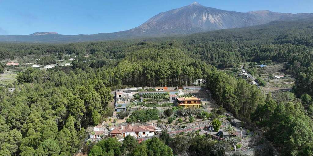 4 Bedroom House - Icod de Los Vinos