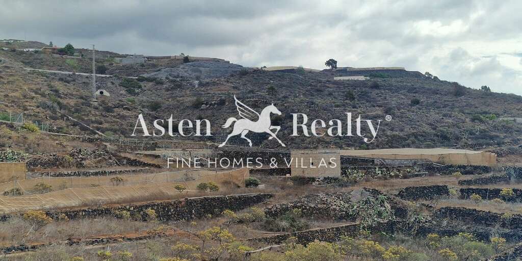 Terrain - Guía de Isora